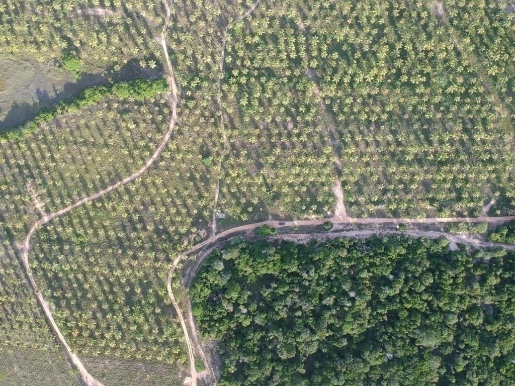 Área à Venda em Maraú - Bahia - Brasil - 3