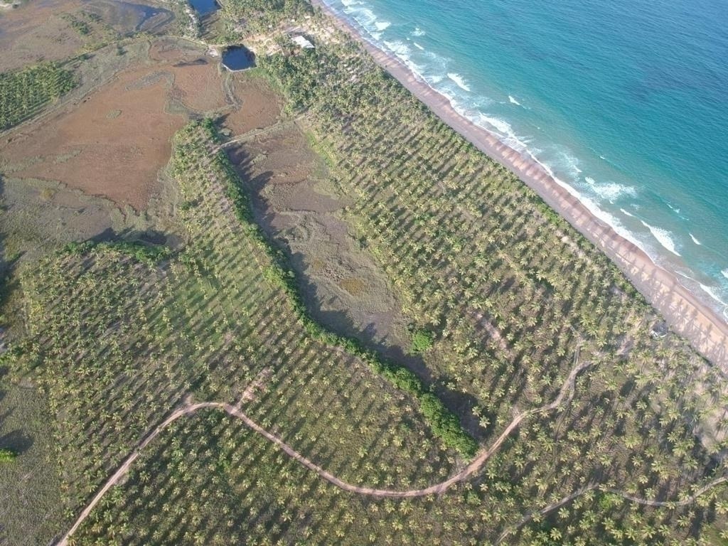 Área à Venda em Maraú - Bahia - Brasil - 4