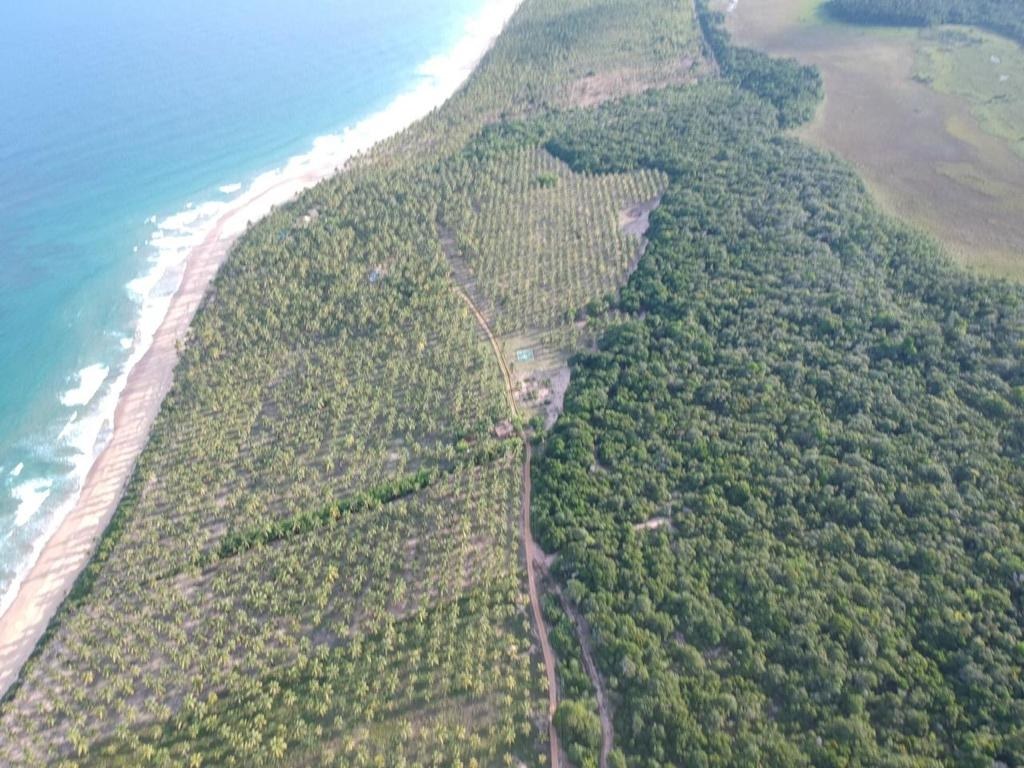 Área à Venda em Maraú - Bahia - Brasil - 5
