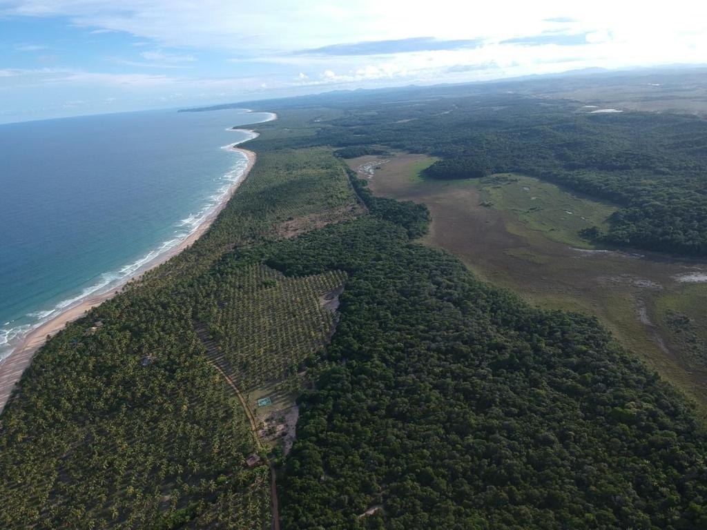 Área à Venda em Maraú - Bahia - Brasil - 7