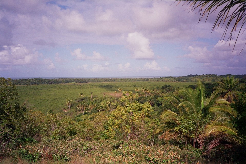 Área à Venda em Maraú - Bahia - Brasil - 4