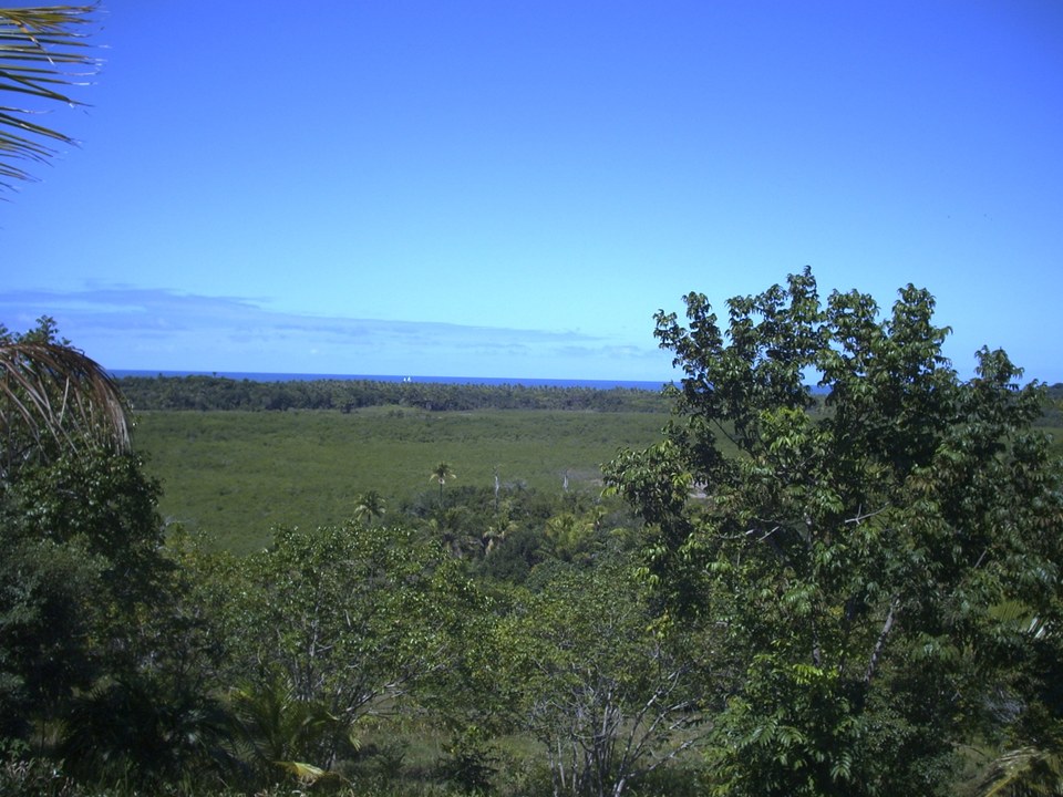 Área à Venda em Maraú - Bahia - Brasil - 5