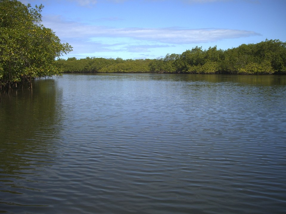 Área à Venda em Maraú - Bahia - Brasil - 6