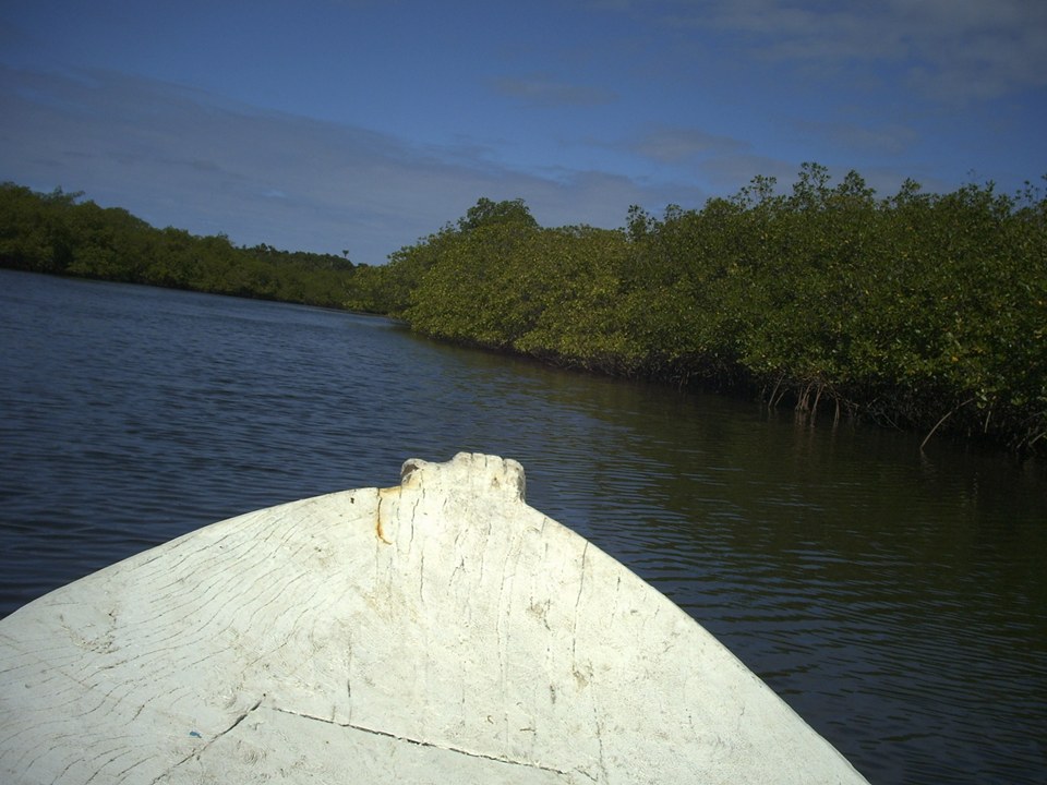 Área à Venda em Maraú - Bahia - Brasil - 7
