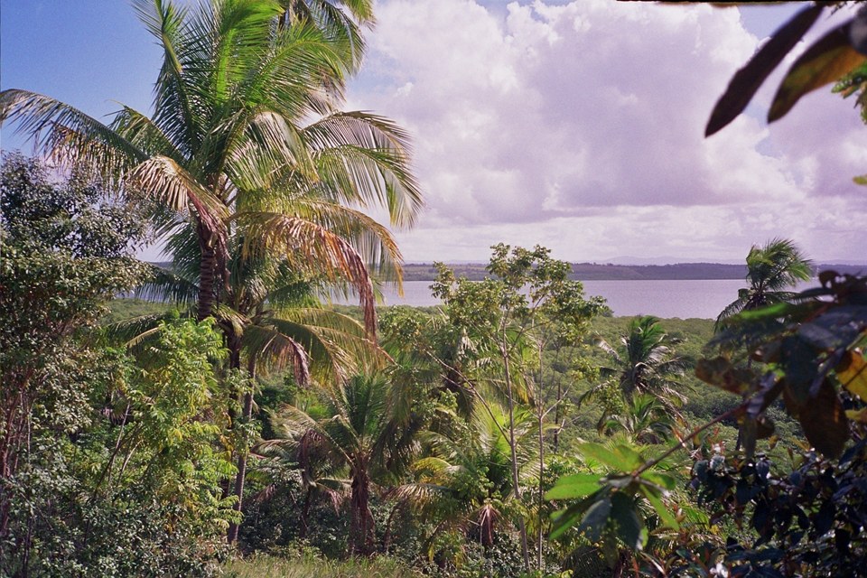 Área à Venda em Maraú - Bahia - Brasil - 8
