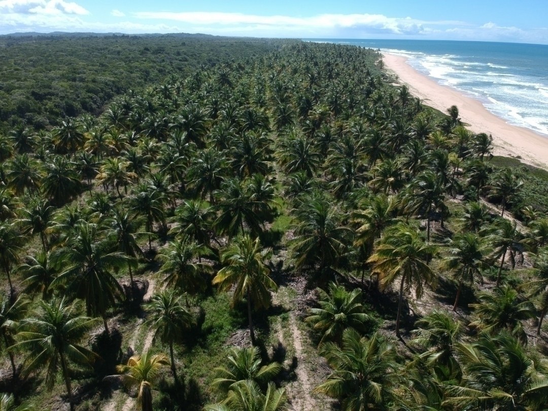 Área à Venda em Maraú - Bahia - Brasil - 3