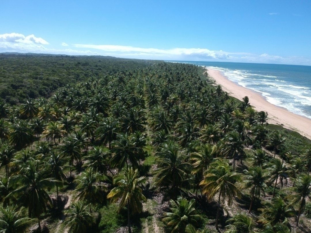 Área à Venda em Maraú - Bahia - Brasil - 4