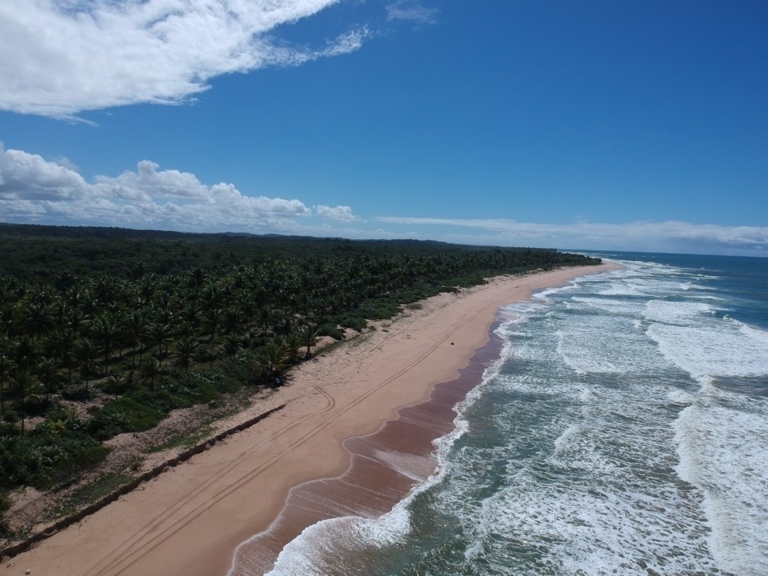 Área à Venda em Maraú - Bahia - Brasil - 5