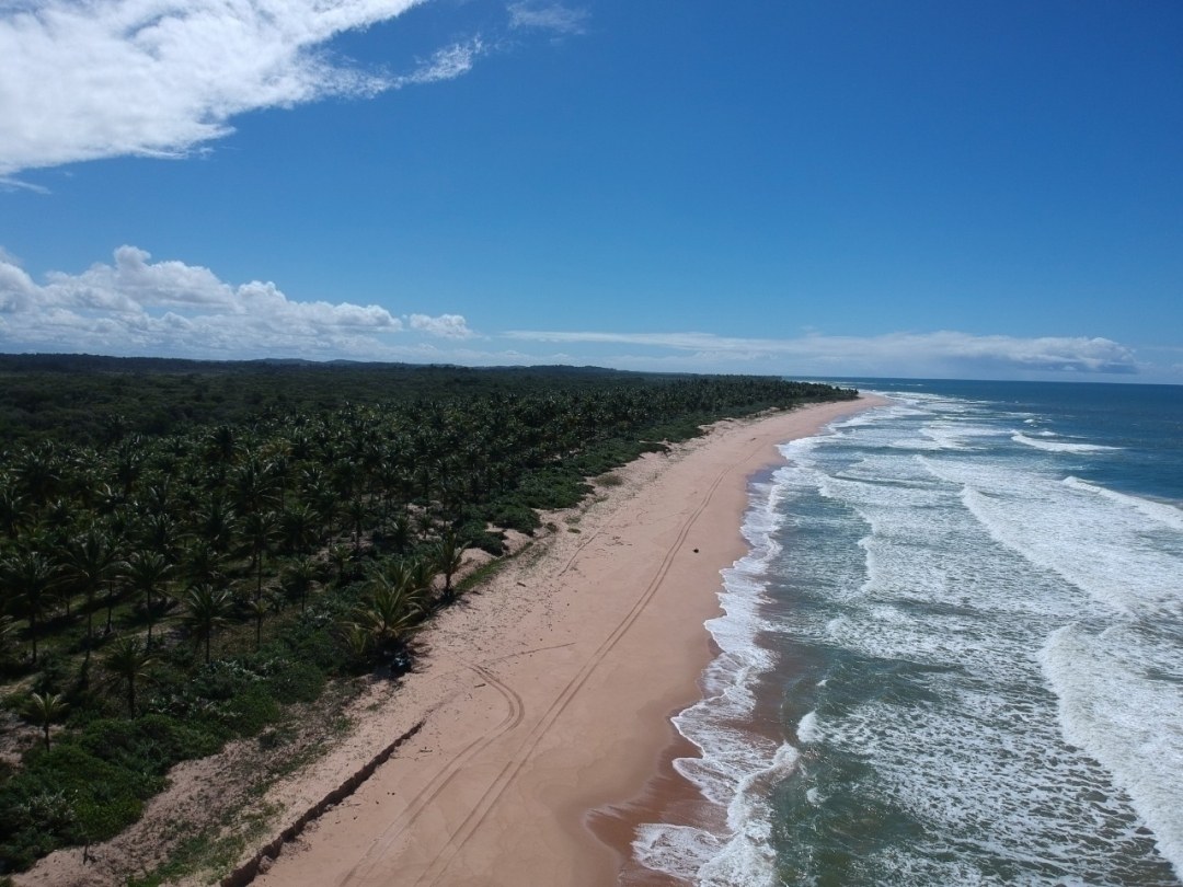 Área à Venda em Maraú - Bahia - Brasil - 6