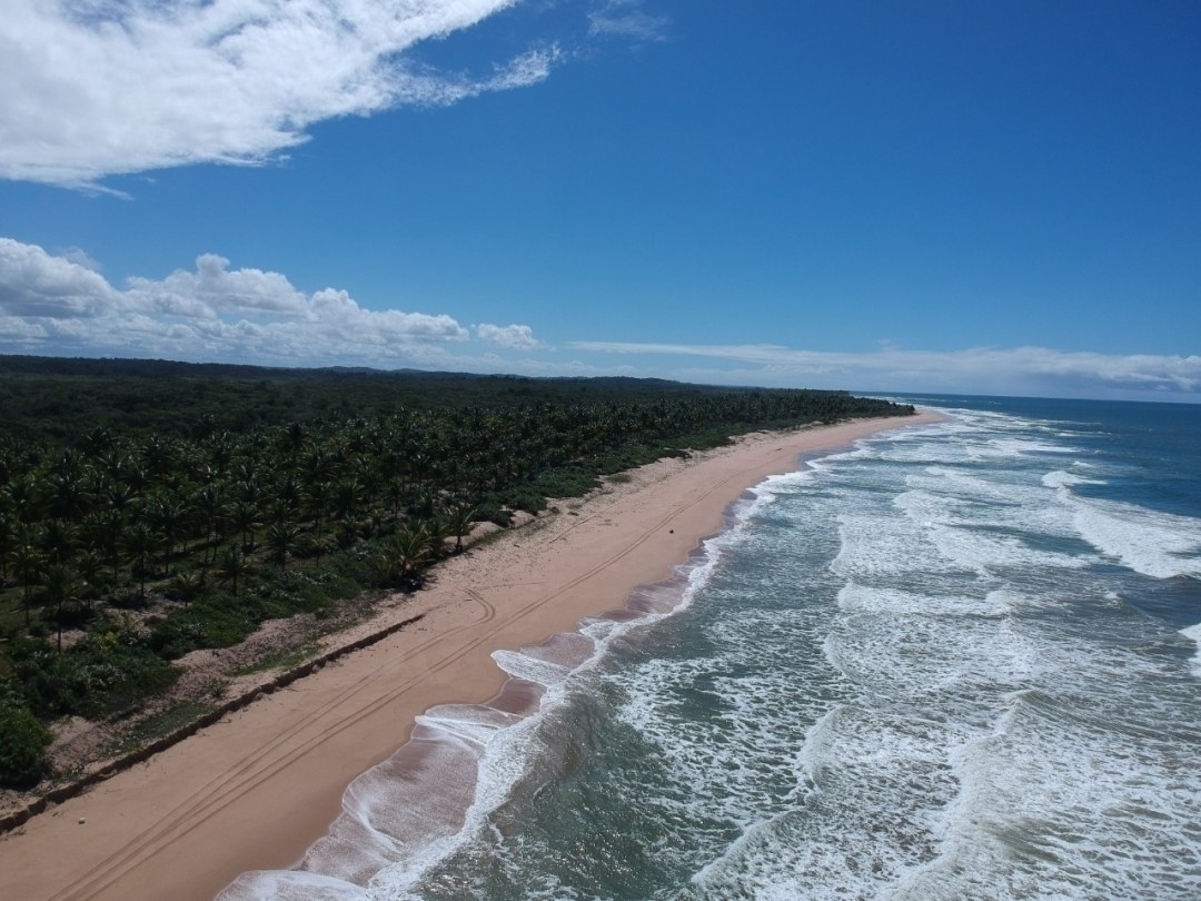 Área à Venda em Maraú - Bahia - Brasil - 8