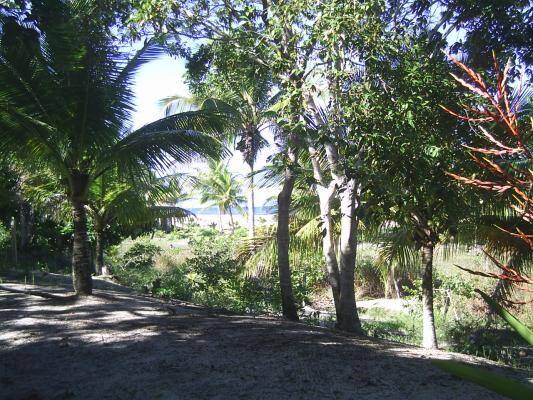 Área à Venda em Maraú - Bahia - Brasil - 5