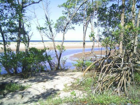 Área à Venda em Maraú - Bahia - Brasil - 6