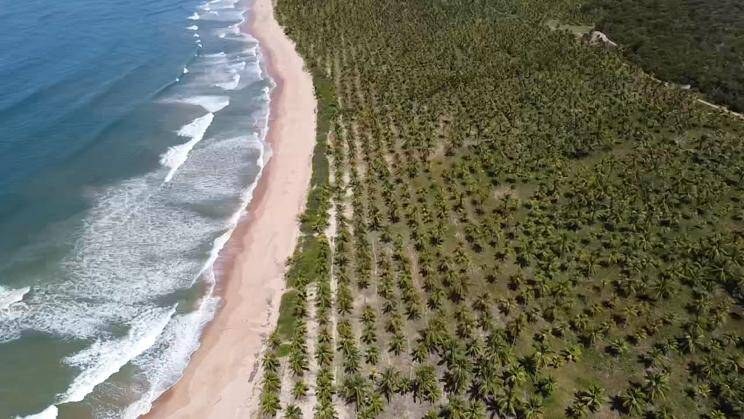 Área à Venda em Maraú - Bahia - Brasil - 1