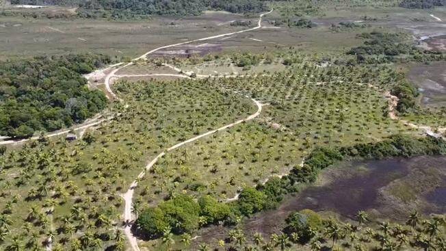 Área à Venda em Maraú - Bahia - Brasil - 3