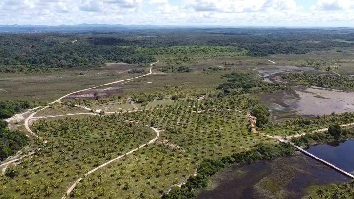 Área à Venda em Maraú - Bahia - Brasil - 4