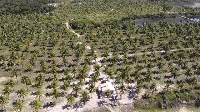 Área à Venda em Maraú - Bahia - Brasil - 5