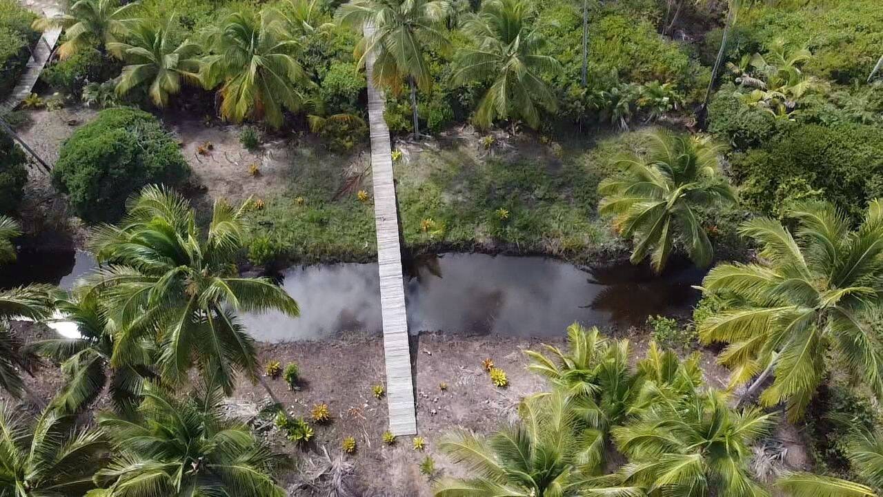 Área à Venda em Maraú - Bahia - Brasil - 2
