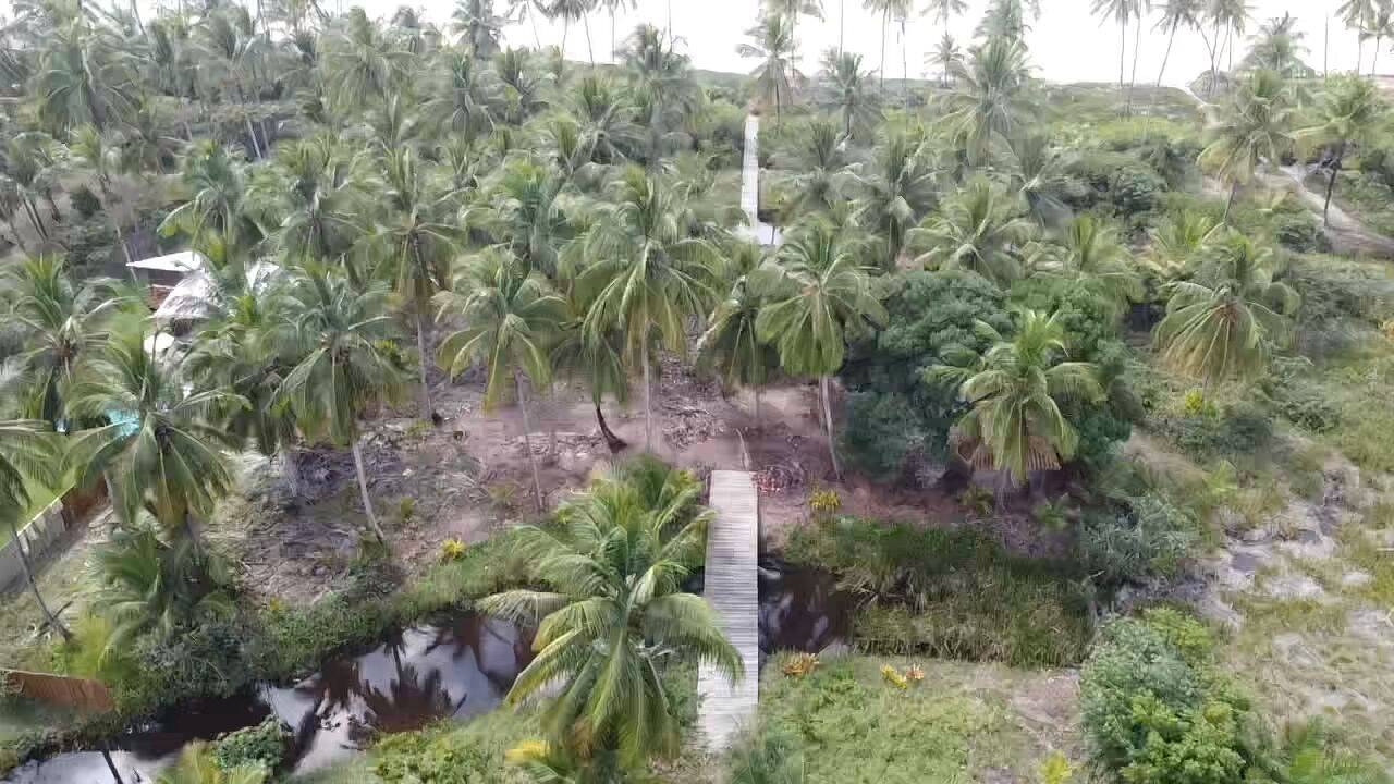 Área à Venda em Maraú - Bahia - Brasil - 3