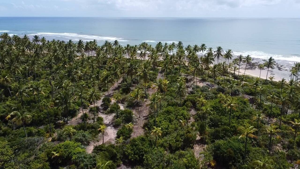 Área à Venda em Maraú - Bahia - Brasil - 6