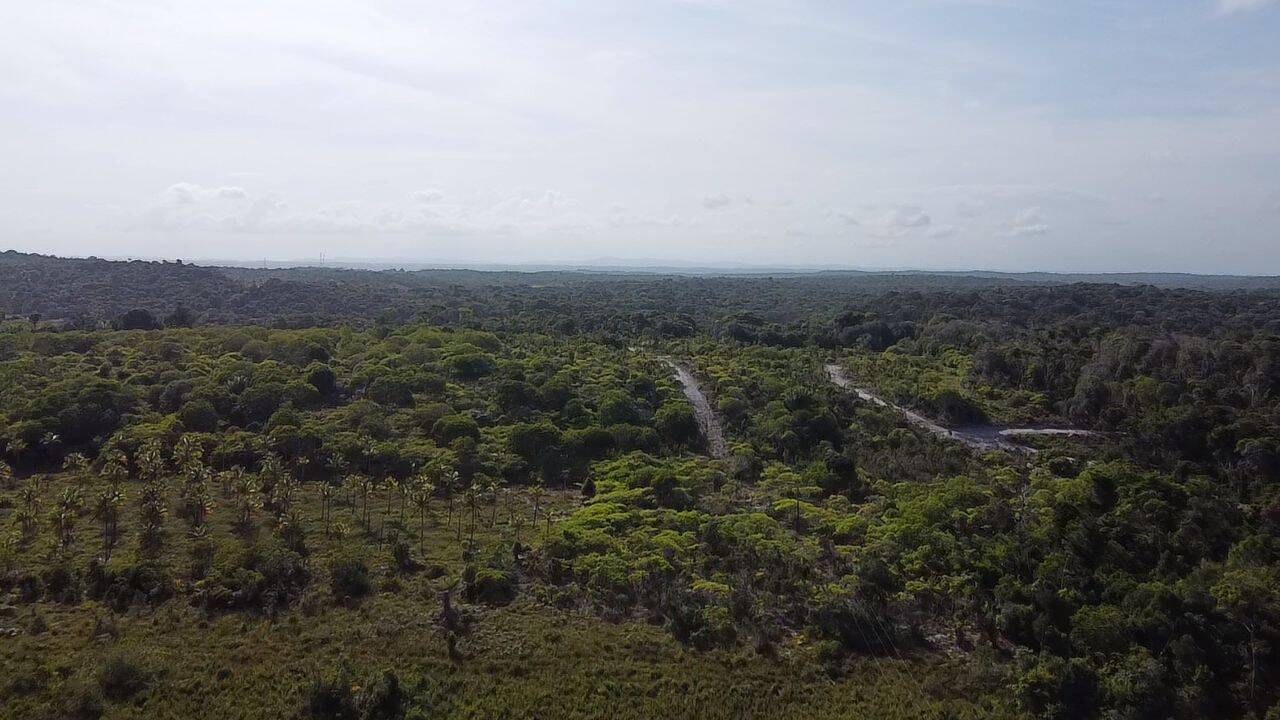 Área à Venda em Maraú - Bahia - Brasil - 3