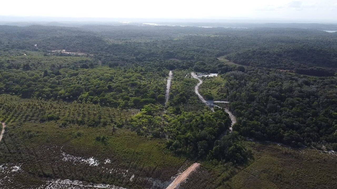 Área à Venda em Maraú - Bahia - Brasil - 5
