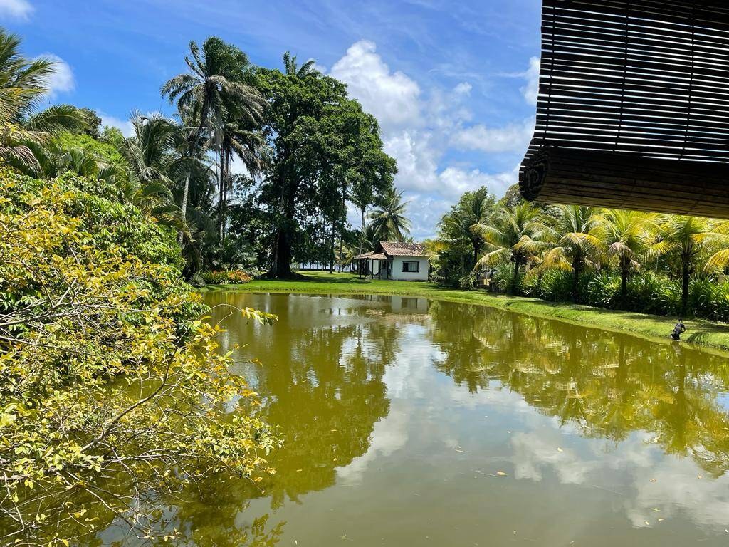 Área à Venda em Maraú - Bahia - Brasil - 3