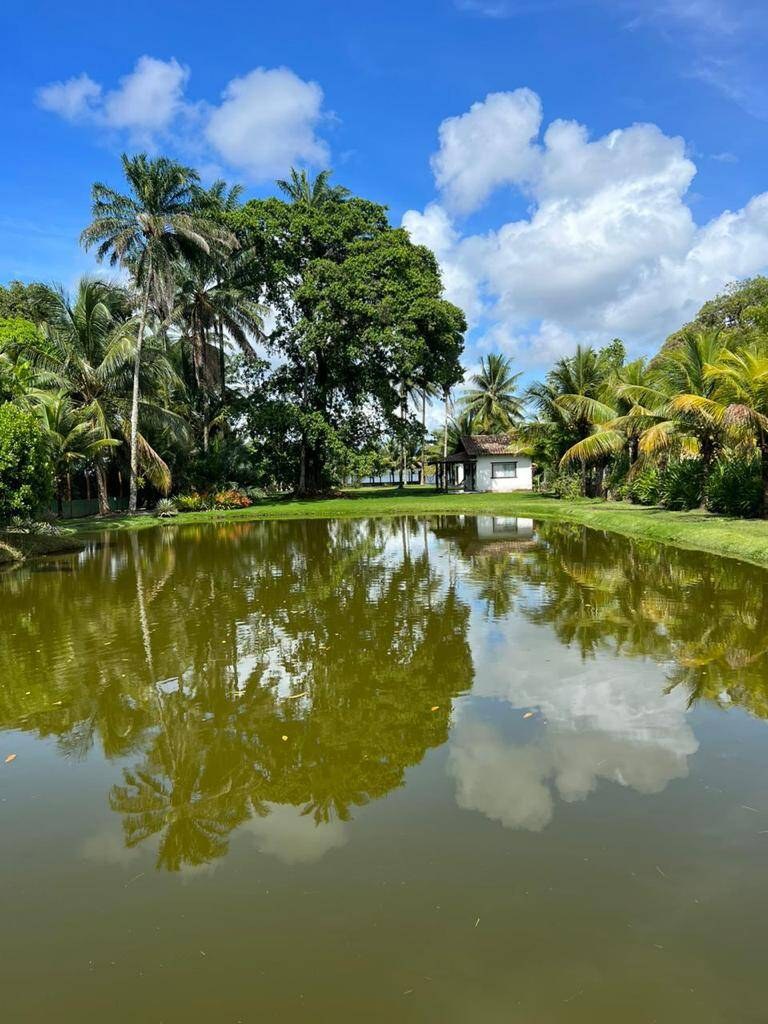 Área à Venda em Maraú - Bahia - Brasil - 5