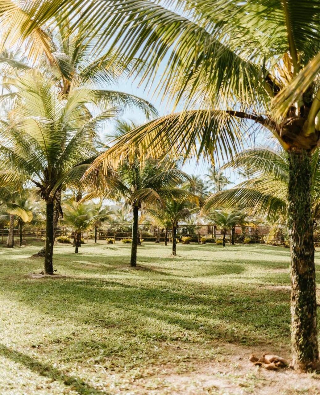 Área à Venda em Uruçuca - Bahia - Brasil - 3