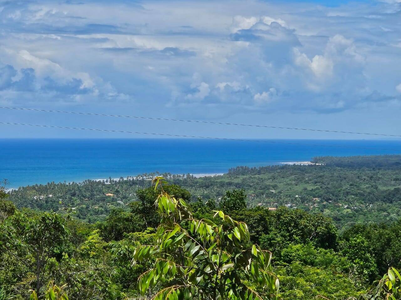 Área à Venda em Uruçuca - Bahia - Brasil - 2