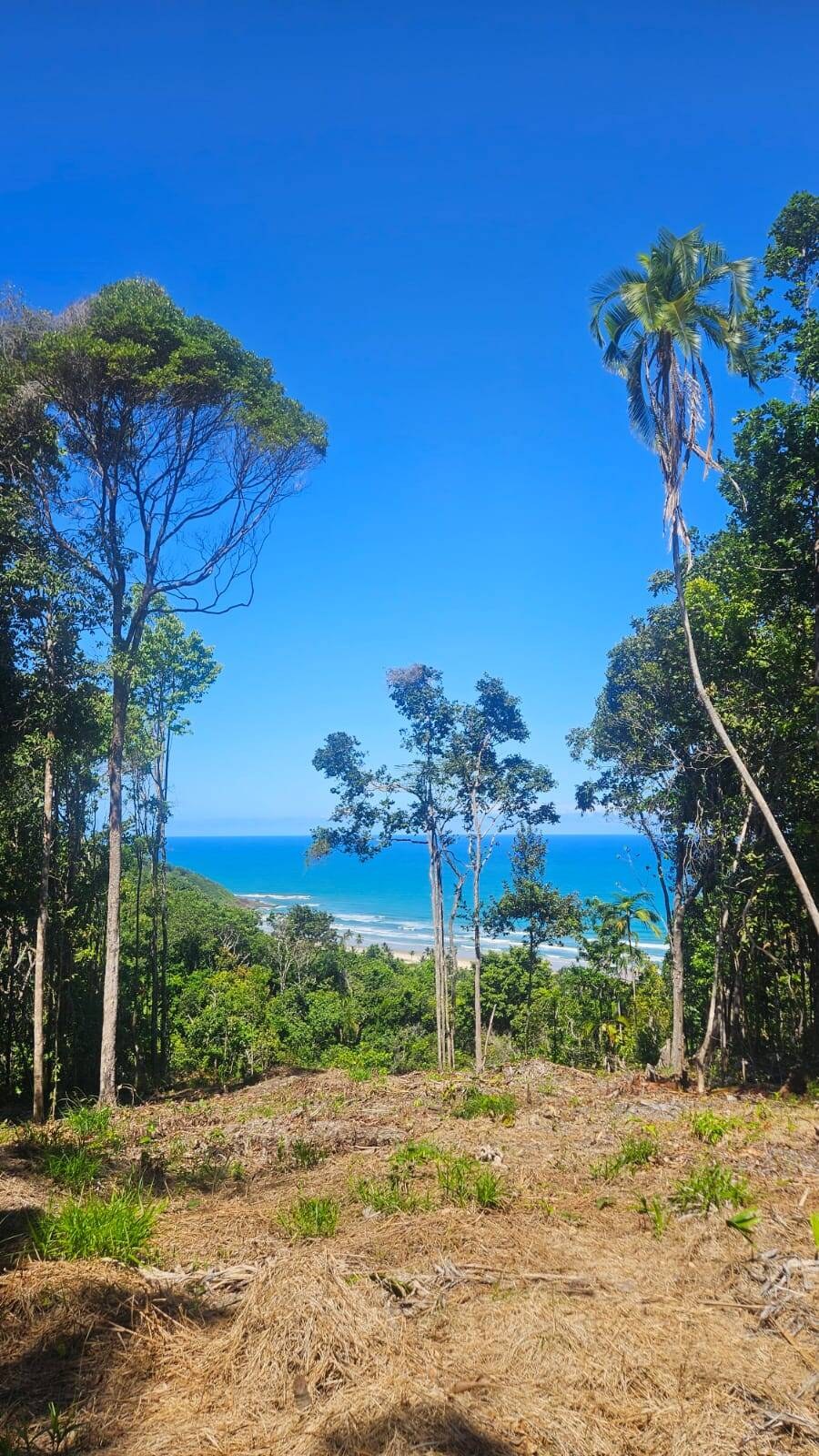 Área à Venda em Uruçuca - Bahia - Brasil - 3