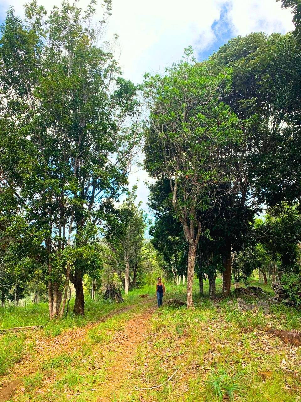 Área à Venda em Uruçuca - Bahia - Brasil - 2