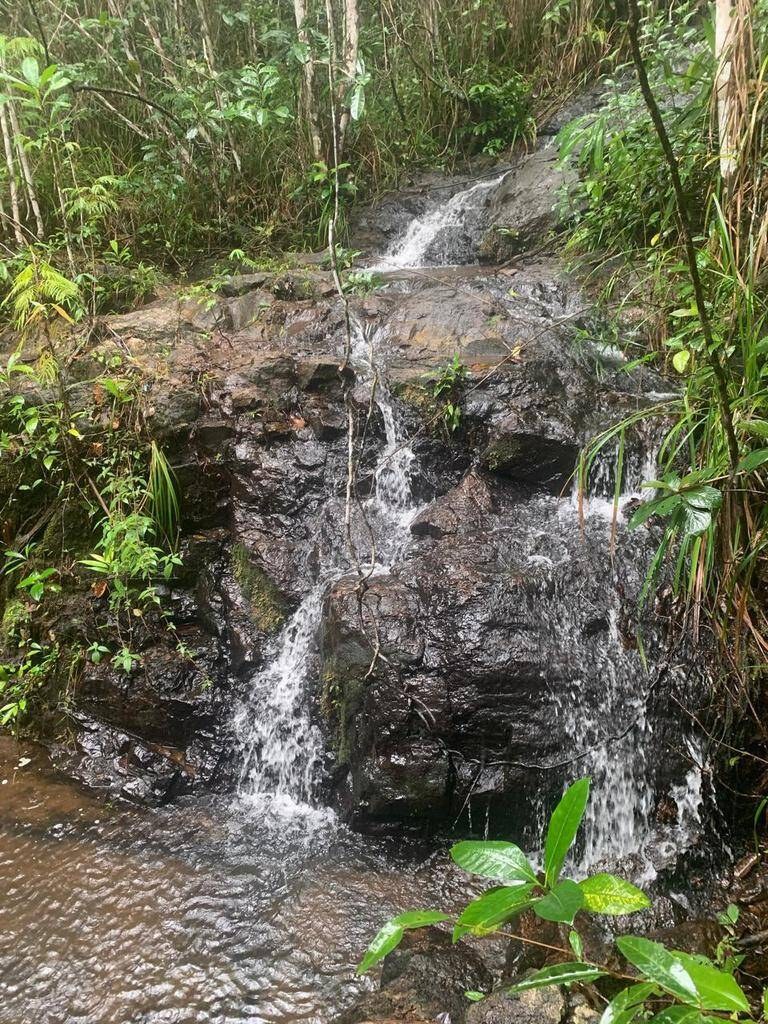 Área à Venda em Uruçuca - Bahia - Brasil - 4