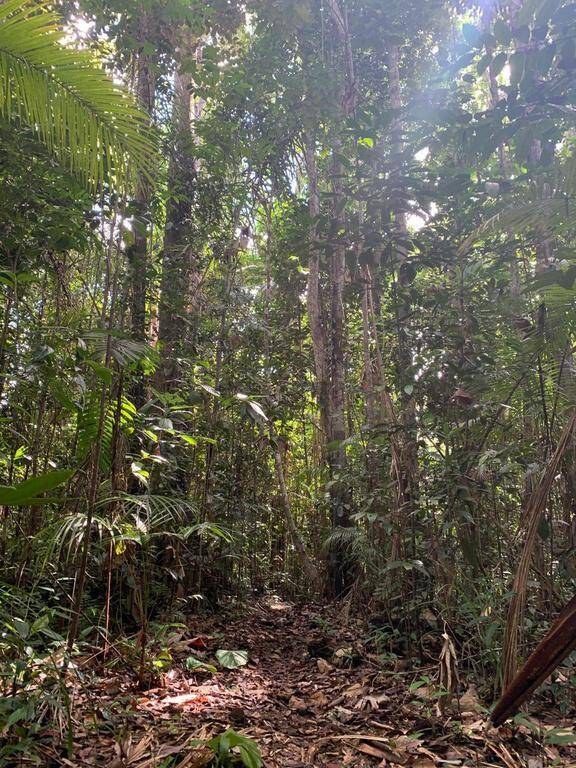 Área à Venda em Uruçuca - Bahia - Brasil - 5