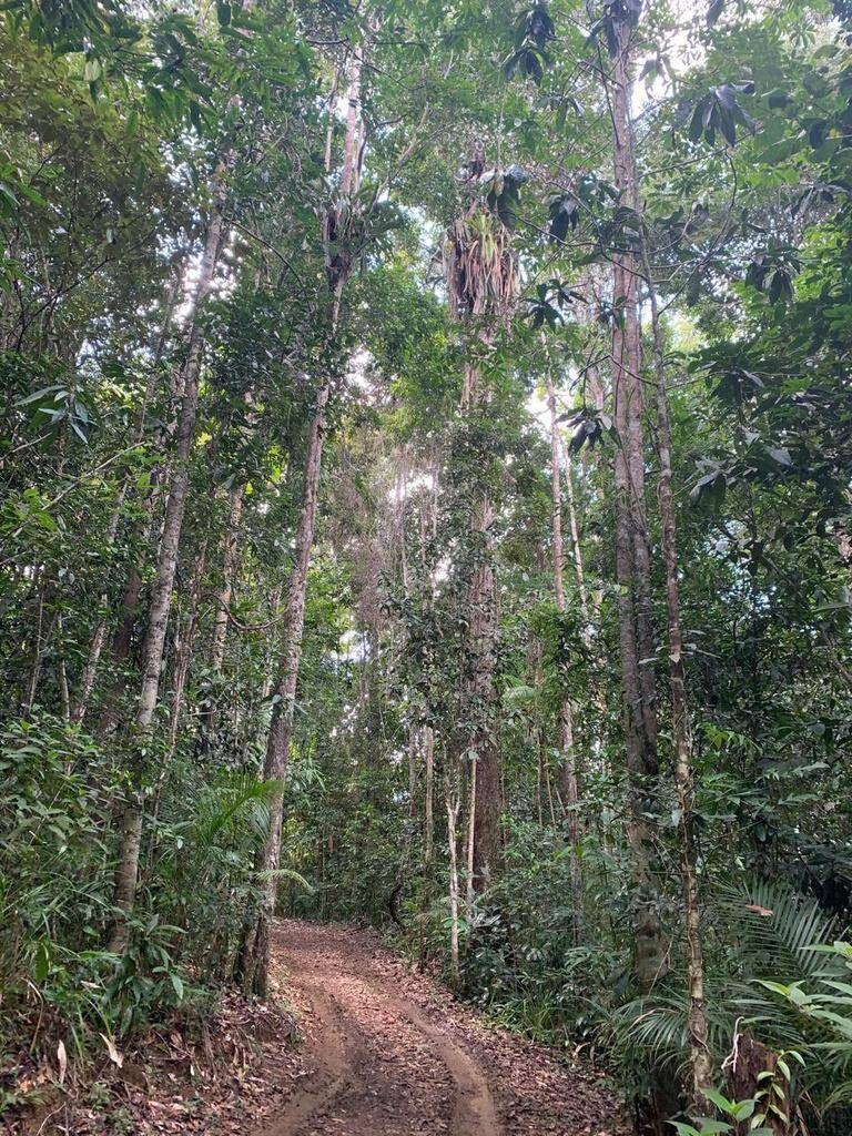 Área à Venda em Uruçuca - Bahia - Brasil - 6