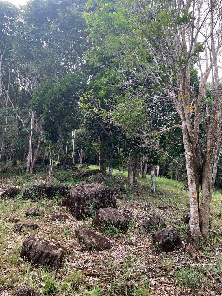 Área à Venda em Uruçuca - Bahia - Brasil - 7