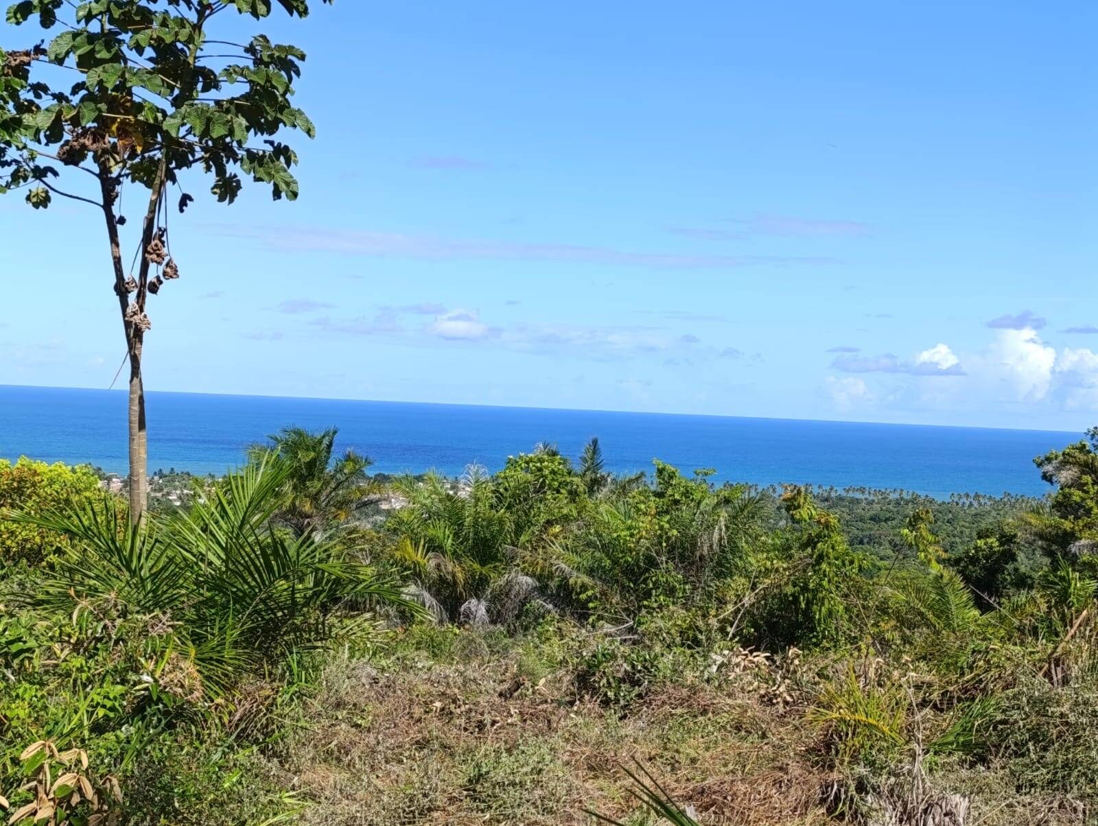 Área à Venda em Uruçuca - Bahia - Brasil - 2
