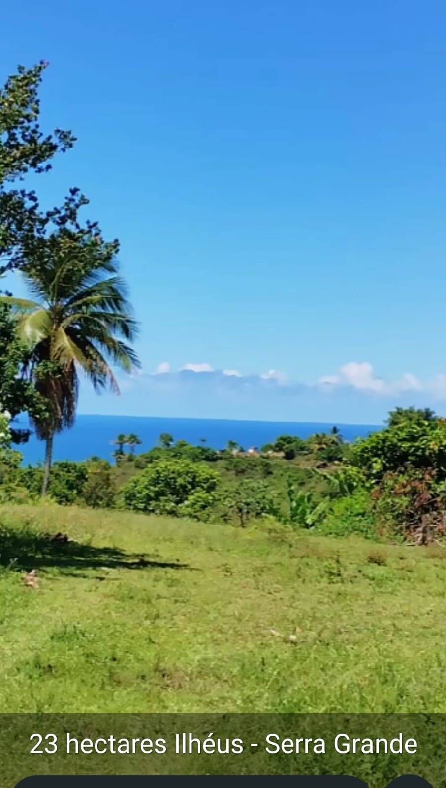Área à Venda em Uruçuca - Bahia - Brasil - 2