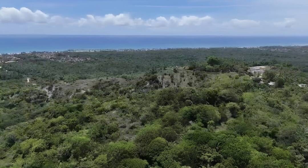 Área à Venda em Uruçuca - Bahia - Brasil - 3