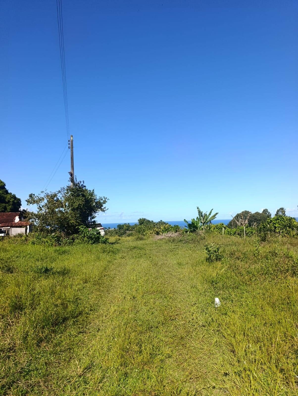 Área à Venda em Uruçuca - Bahia - Brasil - 5