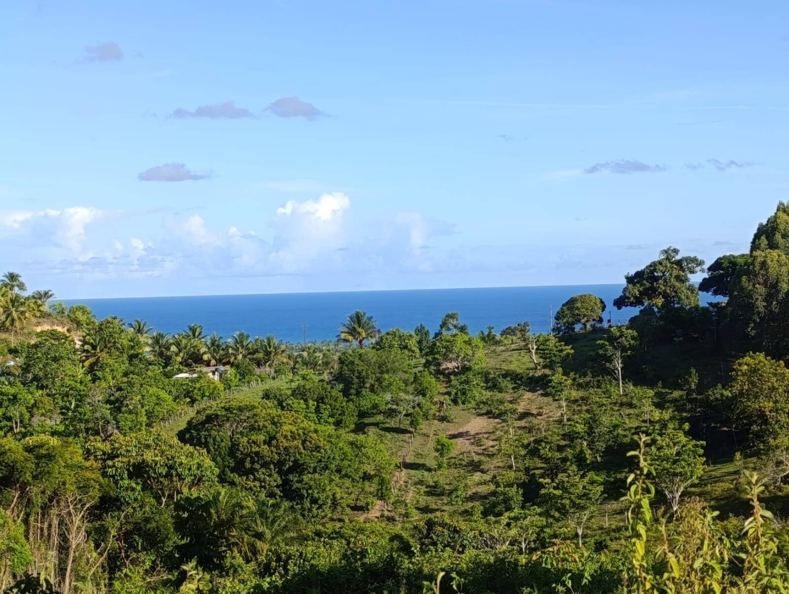 Área à Venda em Uruçuca - Bahia - Brasil - 8