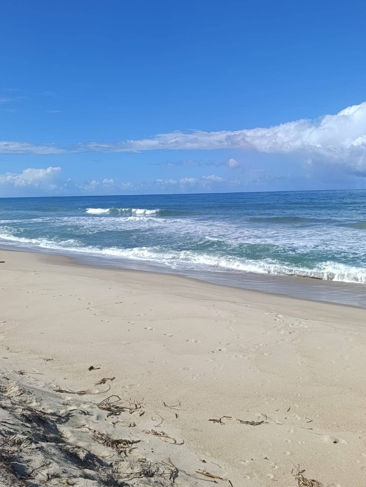Área à Venda em Uruçuca - Bahia - Brasil - 3