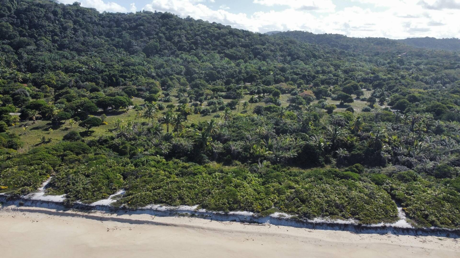 Área à Venda em Uruçuca - Bahia - Brasil - 7