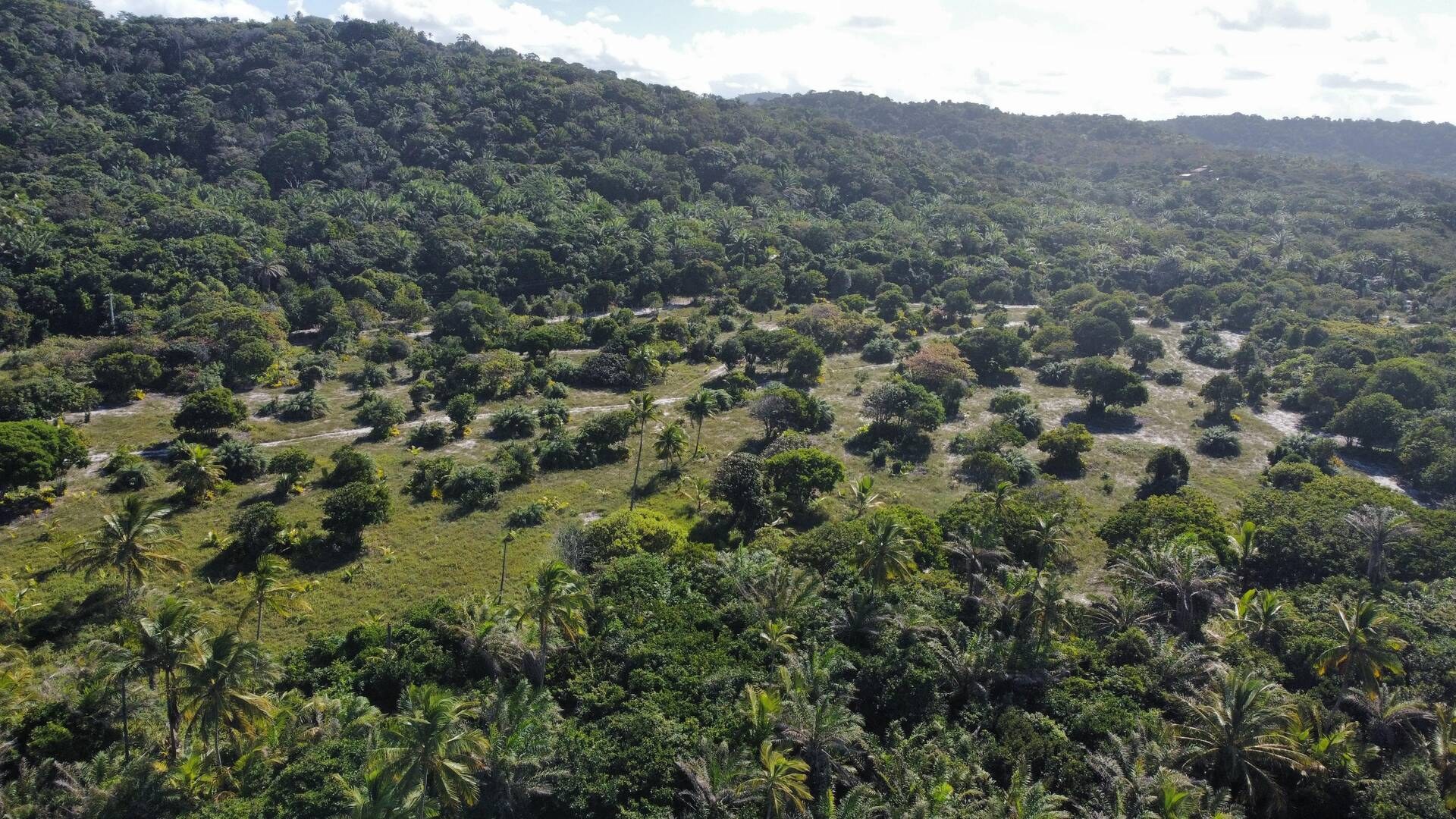 Área à Venda em Uruçuca - Bahia - Brasil - 8