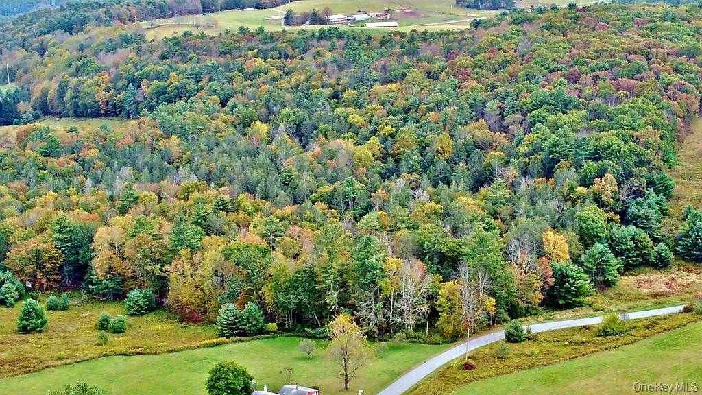 Casa à Venda em Callicoon - Nova Iorque - EUA - 6