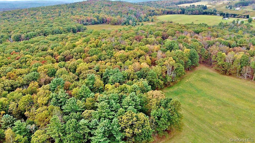 Casa à Venda em Callicoon - Nova Iorque - EUA - 7