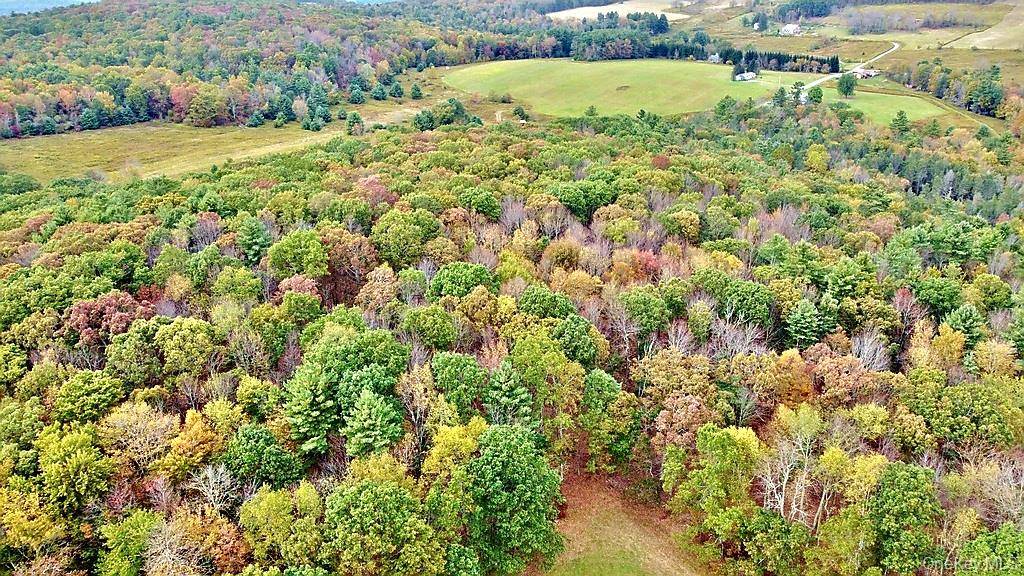 Casa à Venda em Callicoon - Nova Iorque - EUA - 8