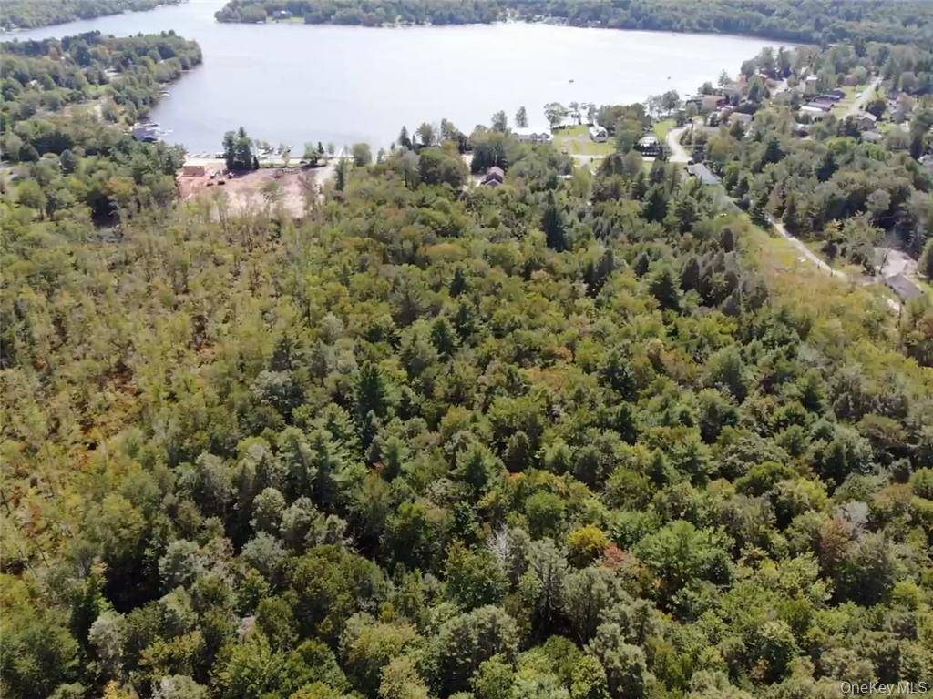 Casa à Venda em Kauneonga Lake - Nova Iorque - EUA - 2
