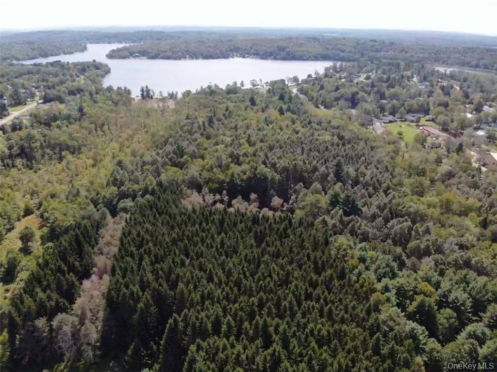 Casa à Venda em Kauneonga Lake - Nova Iorque - EUA - 7