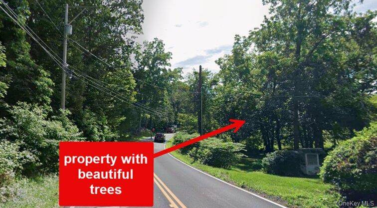 Land for Sale in Rhinebeck - New York - USA - 3