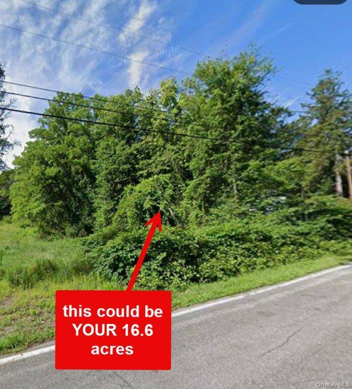 Land for Sale in Rhinebeck - New York - USA - 4